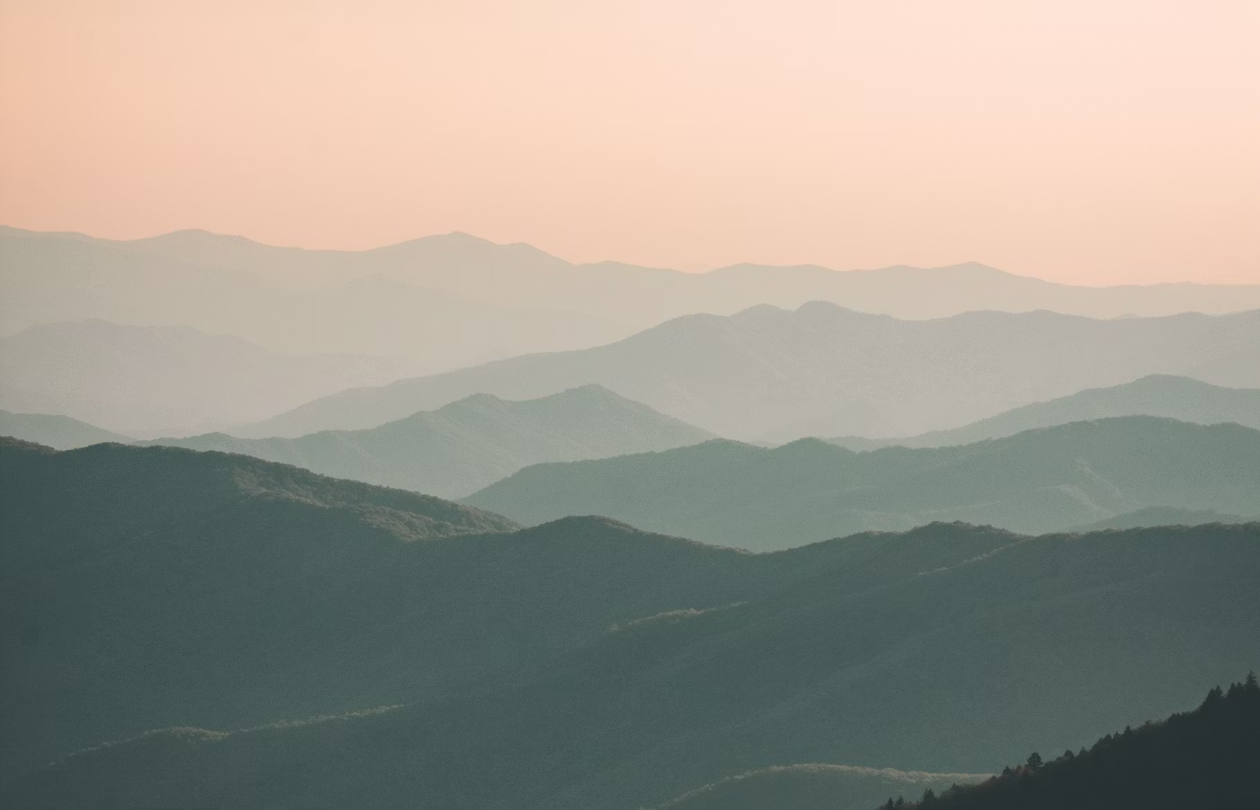 Самоподдержка для предпринимателя